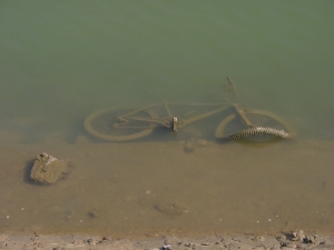 Fahrrad im See
